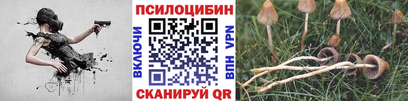 Галлюциногенные грибы ЛСД  Купить  Верхоянск 